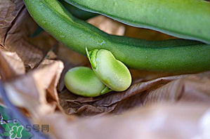 蠶豆可以放冰箱嗎？新鮮蠶豆可以放冰箱嗎？