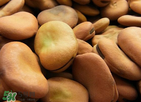 干蠶豆怎么炒才能開裂？干蠶豆怎么炒才好吃？