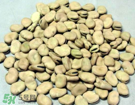 蠶豆長蟲還能吃嗎？蠶豆怎么保存不長蟲？