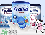 gallia佳利雅是什么品牌？gallia佳利雅奶粉是哪個國家的品牌？
