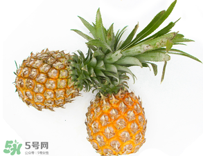 皮皮蝦和菠蘿能一起吃嗎？吃完皮皮蝦能吃菠蘿嗎？