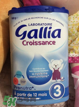 gallia佳利雅奶粉怎么沖？gallia佳利雅奶粉沖調(diào)方法？
