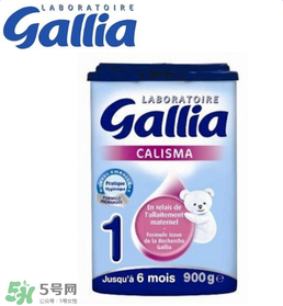 gallia佳利雅奶粉怎么沖？gallia佳利雅奶粉沖調(diào)方法？
