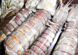 皮皮蝦可以放冰箱嗎？皮皮蝦能放冰箱保存嗎？