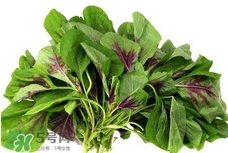 莧菜與什么相克？莧菜與什么食物相克