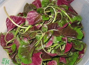 莧菜怎么洗？莧菜怎么擇