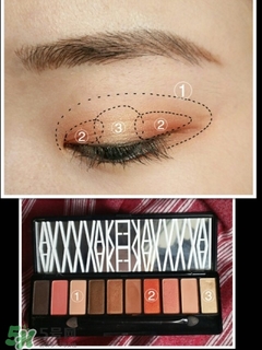 hold live有備案嗎？hold live好用嗎