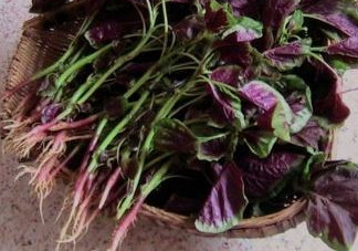 汗菜是發(fā)物嗎？汗菜是不是發(fā)物嗎