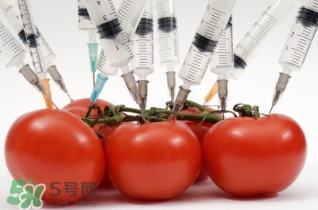 西蘭花是轉(zhuǎn)基因蔬菜？西蘭花轉(zhuǎn)基因食品嗎