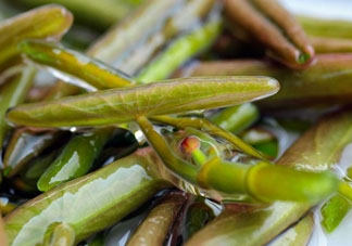 莼菜怎么做？莼菜怎么做好吃？