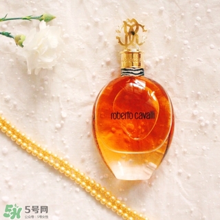 roberto cavalli是什么牌子？羅伯托卡沃利是幾線什么檔次？