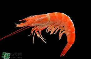 基圍蝦不能和什么一起吃？基圍蝦和什么不能一起吃？