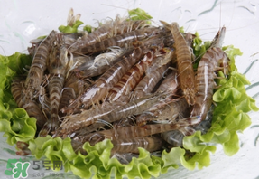 基圍蝦不能和什么一起吃？基圍蝦和什么不能一起吃？