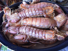 皮皮蝦中間硬的能吃嗎？皮皮蝦中間硬的是什么？