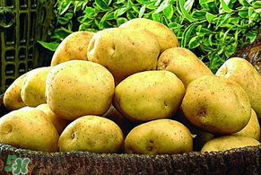 谷雨能種土豆嗎？谷雨前后能種土豆嗎？