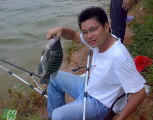 谷雨怎么釣魚？谷雨前后釣魚技巧