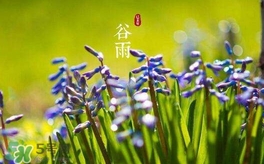 谷雨養(yǎng)生吃什么？谷雨養(yǎng)生常識