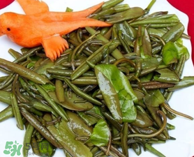 莼菜是什么菜？莼菜是荷葉嗎？