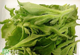 ?冰菜多少錢一斤？? 今年冰菜多少錢一斤？