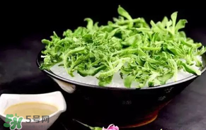 冰菜什么人不適宜吃？冰菜什么體質(zhì)不能吃？