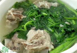 西洋菜是什么菜？西洋菜是什么樣的