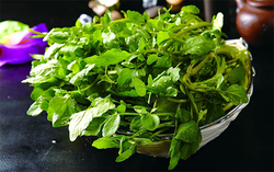 西洋菜怎么摘洗？西洋菜怎么洗才干凈