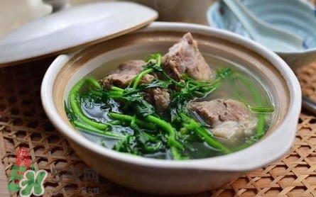 西洋菜怎么吃？西洋菜怎么做好吃