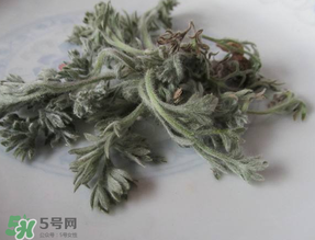 白蒿能治黃疸嗎？白蒿水可以治黃疸嗎？