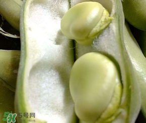 蠶豆多少錢一斤？蠶豆多少錢一斤2017？