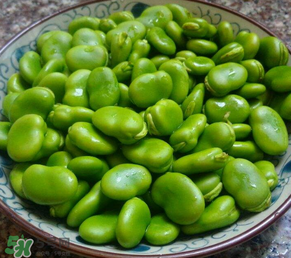 蠶豆多少錢一斤？蠶豆多少錢一斤2017？