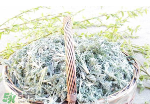 白蒿要焯水嗎？白蒿要不要焯水？