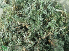 白蒿多少錢(qián)一斤？白蒿的價(jià)格