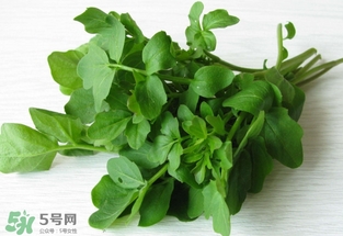 西洋菜是涼性的嗎？西洋菜是性寒的菜嗎