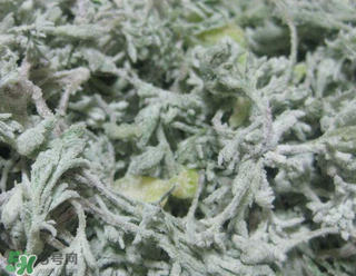 白蒿不能和什么一起吃？白蒿不能與什么同食？