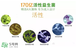 益生菌哪個牌子好？哪個牌子的益生菌好？