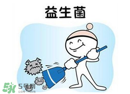 益生菌哪個牌子好？哪個牌子的益生菌好？