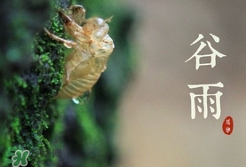 谷雨養(yǎng)生吃什么？谷雨養(yǎng)生常識