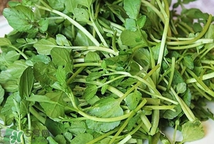 西洋菜是什么菜？西洋菜是什么樣的