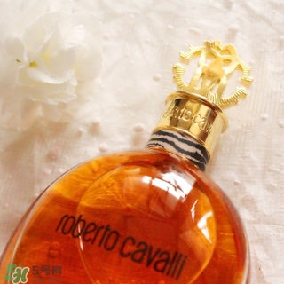 roberto cavalli是什么牌子？羅伯托卡沃利是幾線什么檔次？