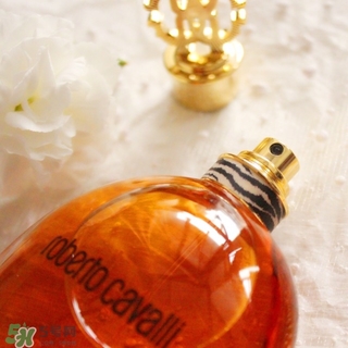 roberto cavalli是什么牌子？羅伯托卡沃利是幾線什么檔次？