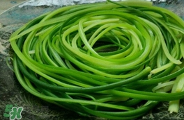 蒜苔用焯水嗎？蒜苔要不要焯水