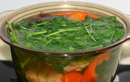 西洋菜怎么摘洗？西洋菜怎么洗才干凈