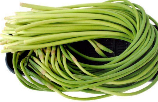 蒜苔是怎么長出來的？蒜苔是大蒜長出來的嗎