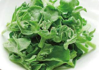 冰菜為什么會酸？冰菜為什么是咸的？