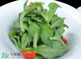 冰草不能和什么一起吃？冰草不能和什么同時吃？