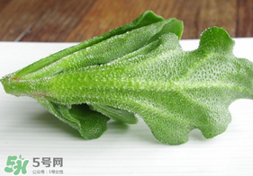 冰草不能和什么一起吃？冰草不能和什么同時吃？