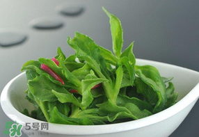 冰草可以放冰箱嗎？冰草能用冰塊保存嗎？