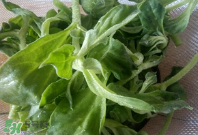 冰草為什么咸？冰草怎吃不咸？