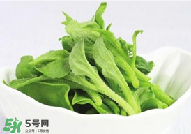 冰草多少錢一斤？非洲冰草多少錢一斤？