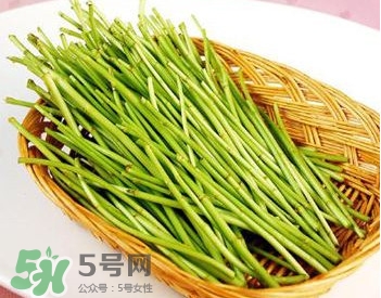 蘆蒿與茼蒿有什么區(qū)別？蘆蒿和茼蒿的區(qū)別